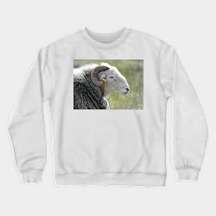 Herdwick Ram Crewneck Sweatshirt